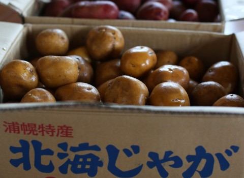 大地の恵み 大地の恵み