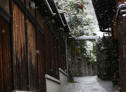 愛する京都 愛する京都