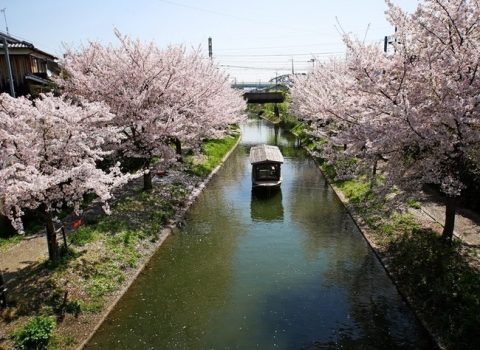 京都新聞朝刊連載「アス飯」最終回 本日発売! 京都新聞朝刊連載「アス飯」最終回 本日発売!