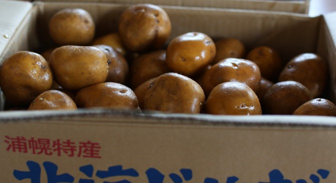 大地の恵み