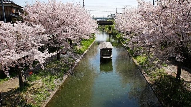 京都新聞朝刊連載「アス飯」最終回　本日発売！