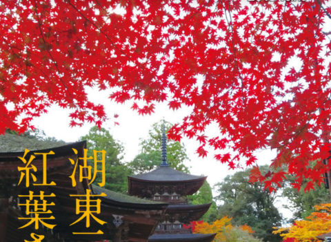 京都新聞読者情報誌 きらっと!京滋2018年11月号 山瀬理恵子のアス飯®︎連載掲載のお知らせ 京都新聞読者情報誌 きらっと!京滋2018年11月号 山瀬理恵子のアス飯®︎連載掲載のお知らせ