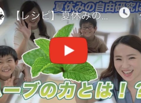 新作配信開始! 新作配信開始!
