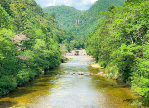 愛知県奥三河地域コラム執筆 愛知県奥三河地域コラム執筆