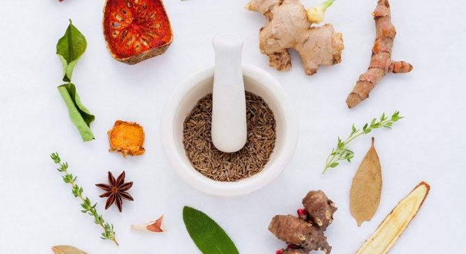 The Blog Yamase Family Website