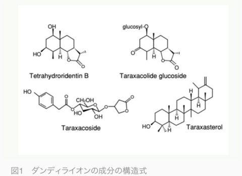 菊芋とイヌリンについて 菊芋とイヌリンについて